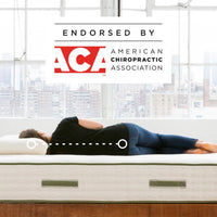 Avocado Green Mattress endorsed by ACA (American Chiropractic Association)