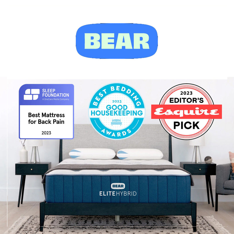 Bear Elite Hybrid Mattress - best mattress for back pain