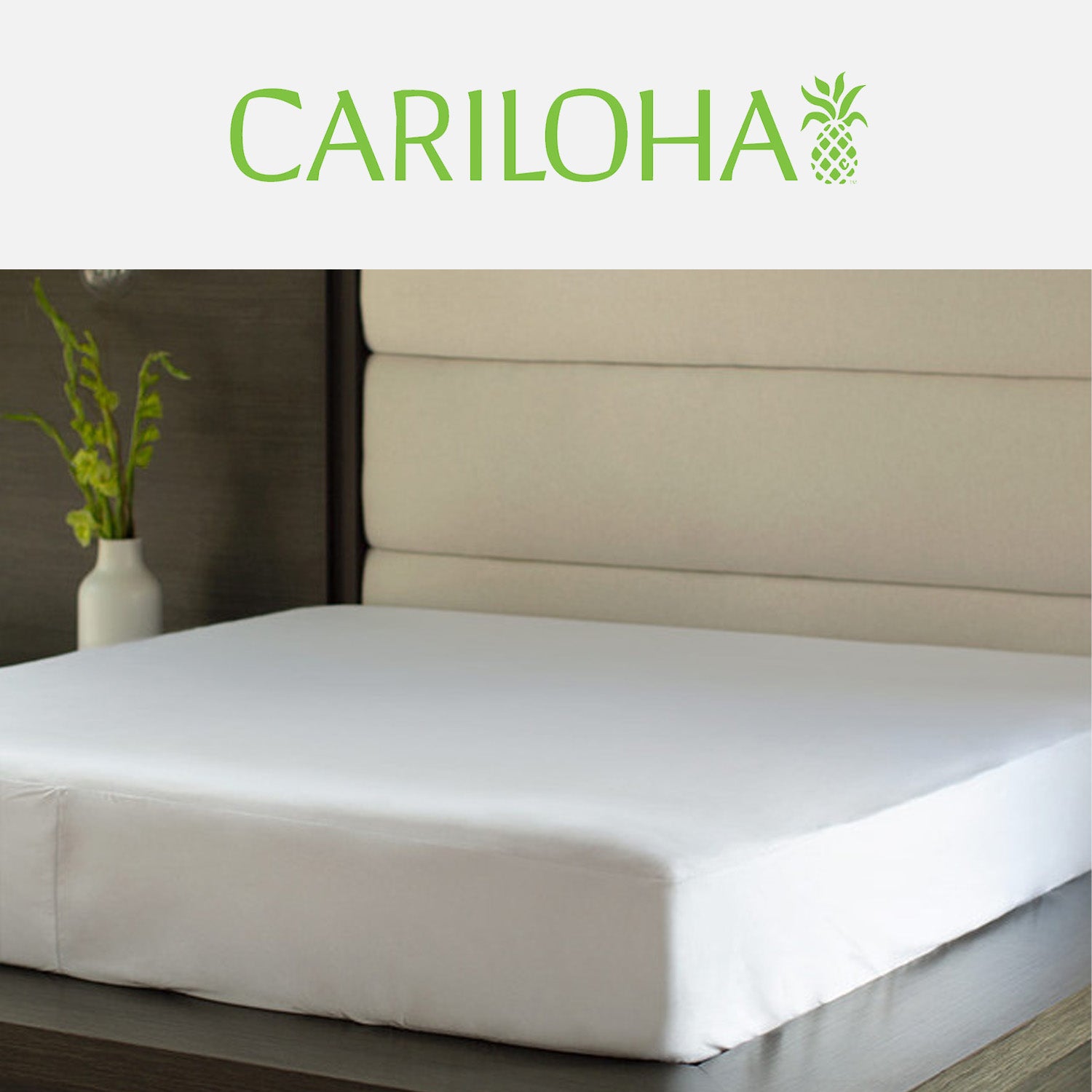 Cariloha Bamboo Mattress Protector